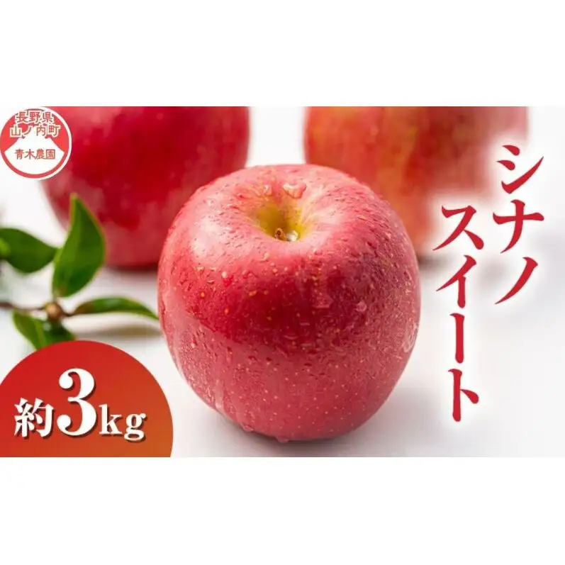 りんご シナノスイート 3kg 7～9玉 長野県産 りんご