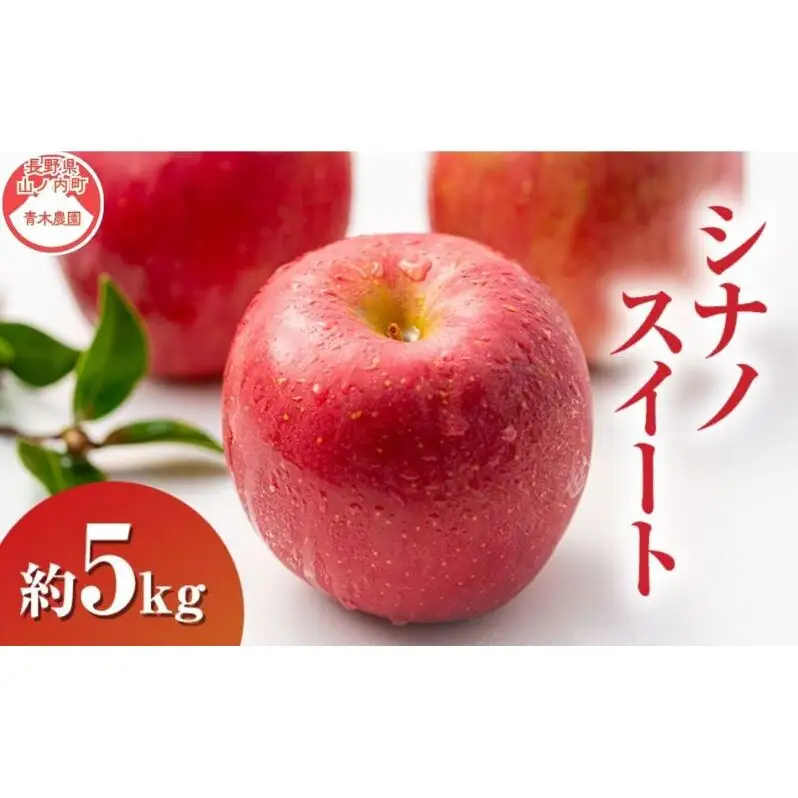りんご シナノスイート 5kg 13～18玉 長野県産 りんご
