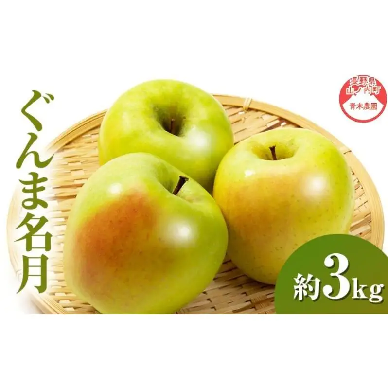 りんご ぐんま名月 3kg 7～9玉 長野県産 りんご