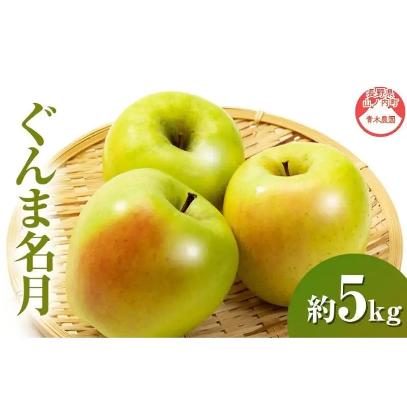 りんご ぐんま名月約5kg 13～18玉 長野県産 りんご