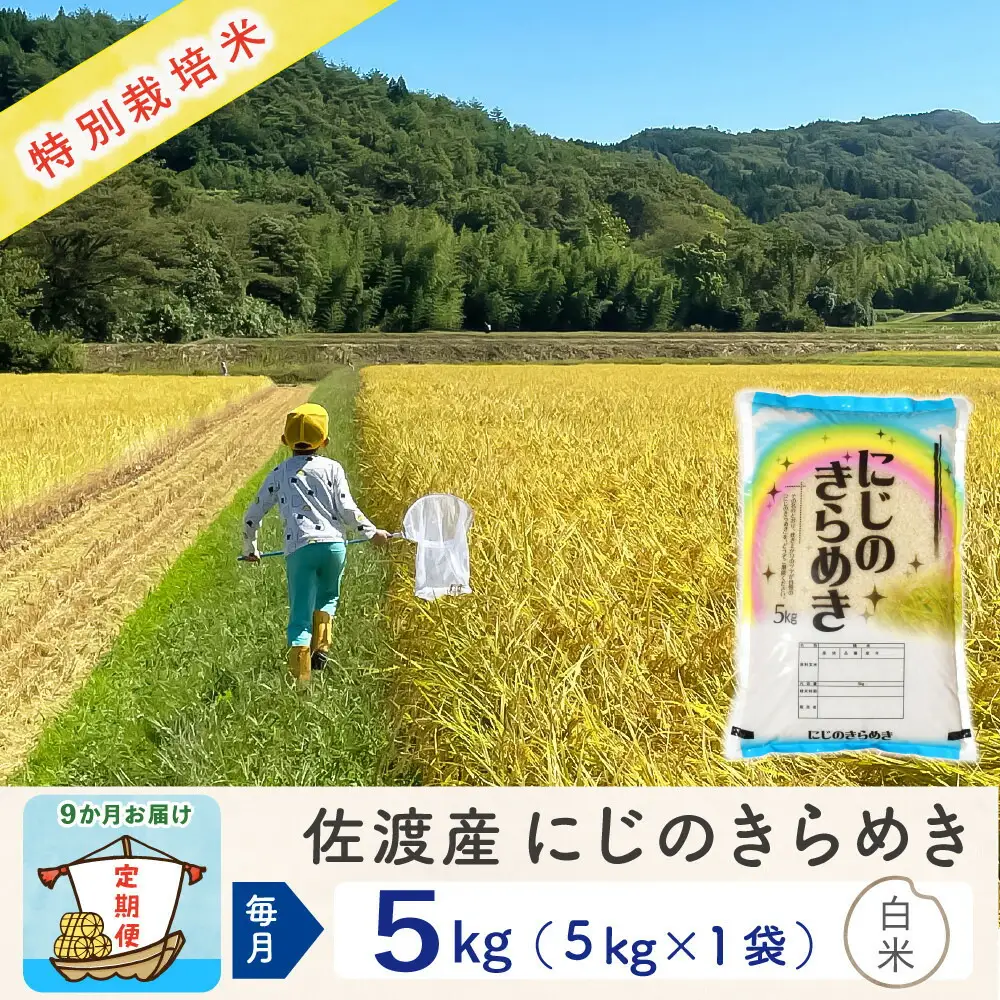 【令和8年産新米 9ヶ月】佐渡島産にじのきらめき 白米 5kg 特別栽培米