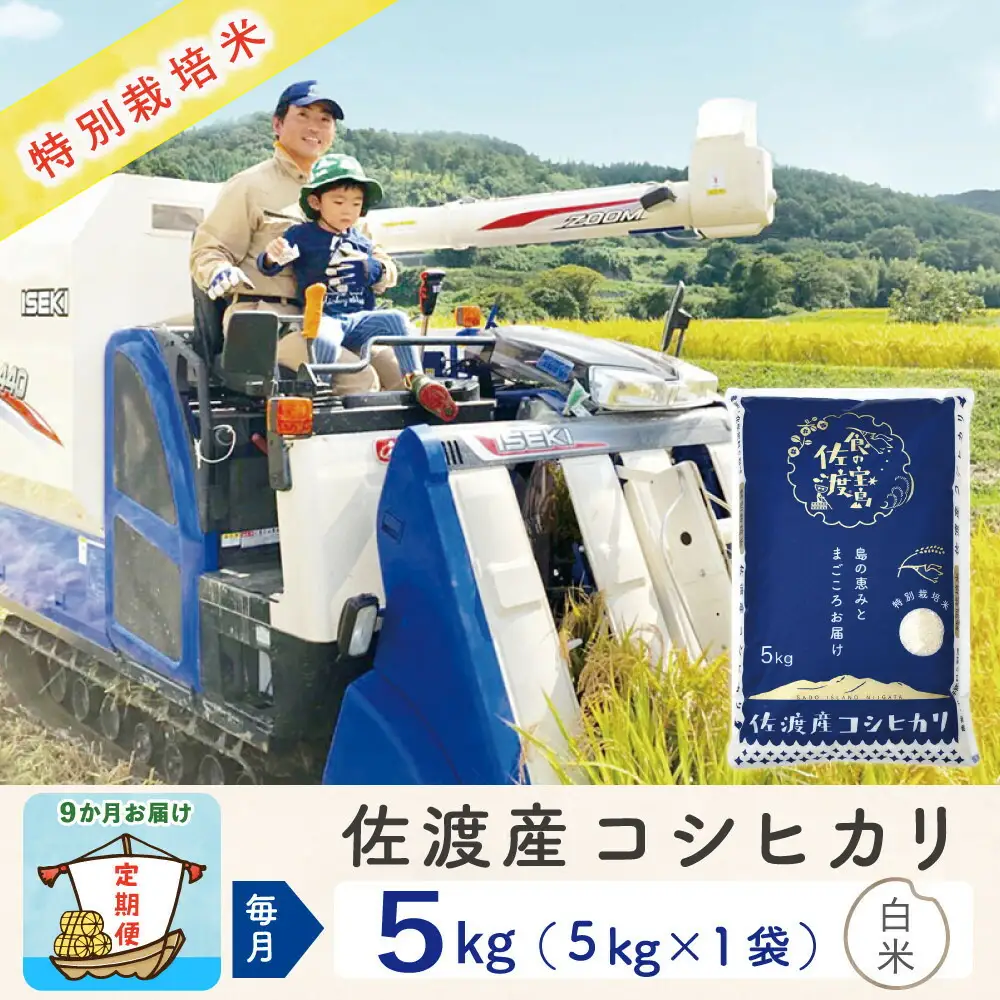 【令和8年産新米 9ヶ月】佐渡島産コシヒカリ 白米 5kg 特別栽培米
