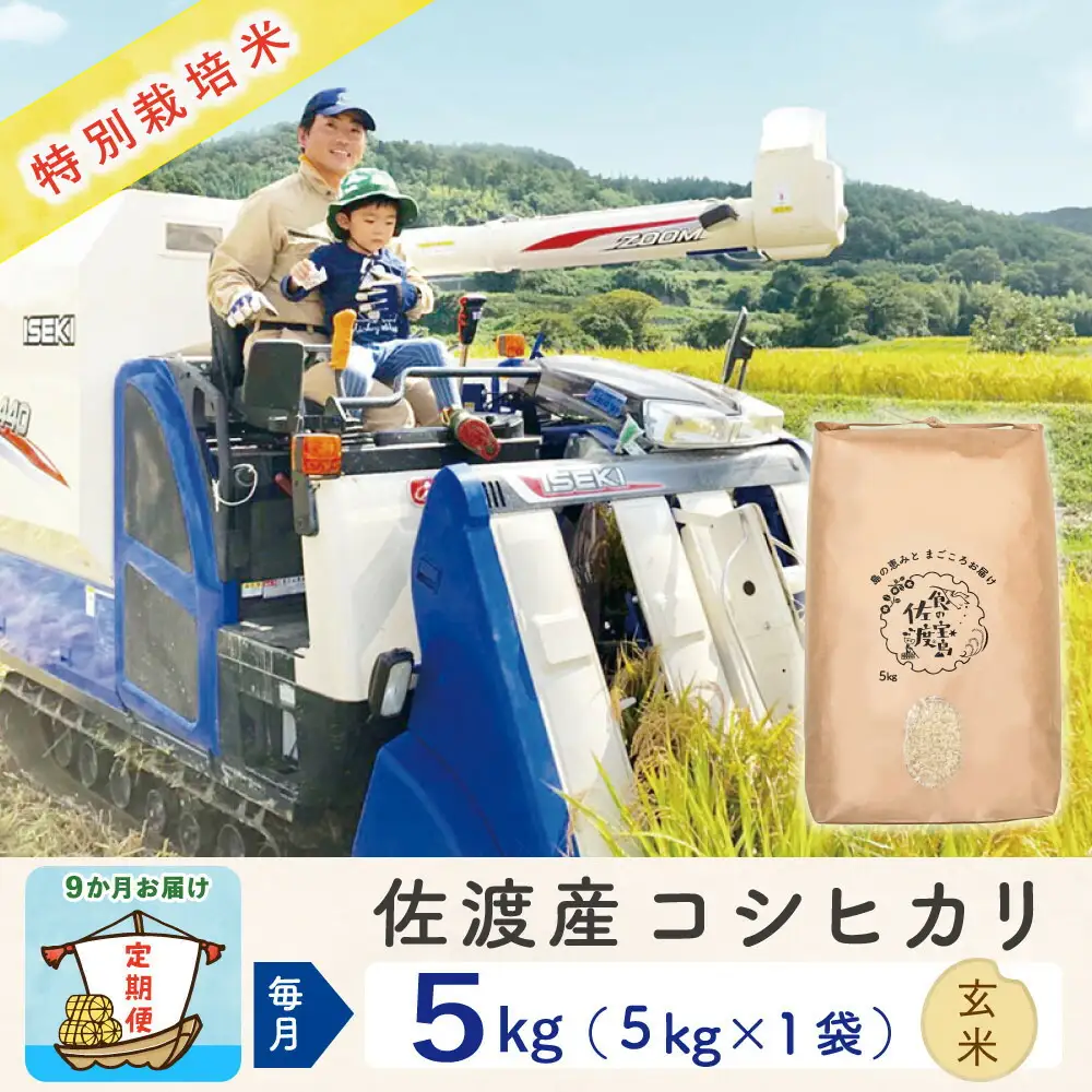 【令和8年産新米 9ヶ月】佐渡島産コシヒカリ 玄米 5kg 特別栽培米