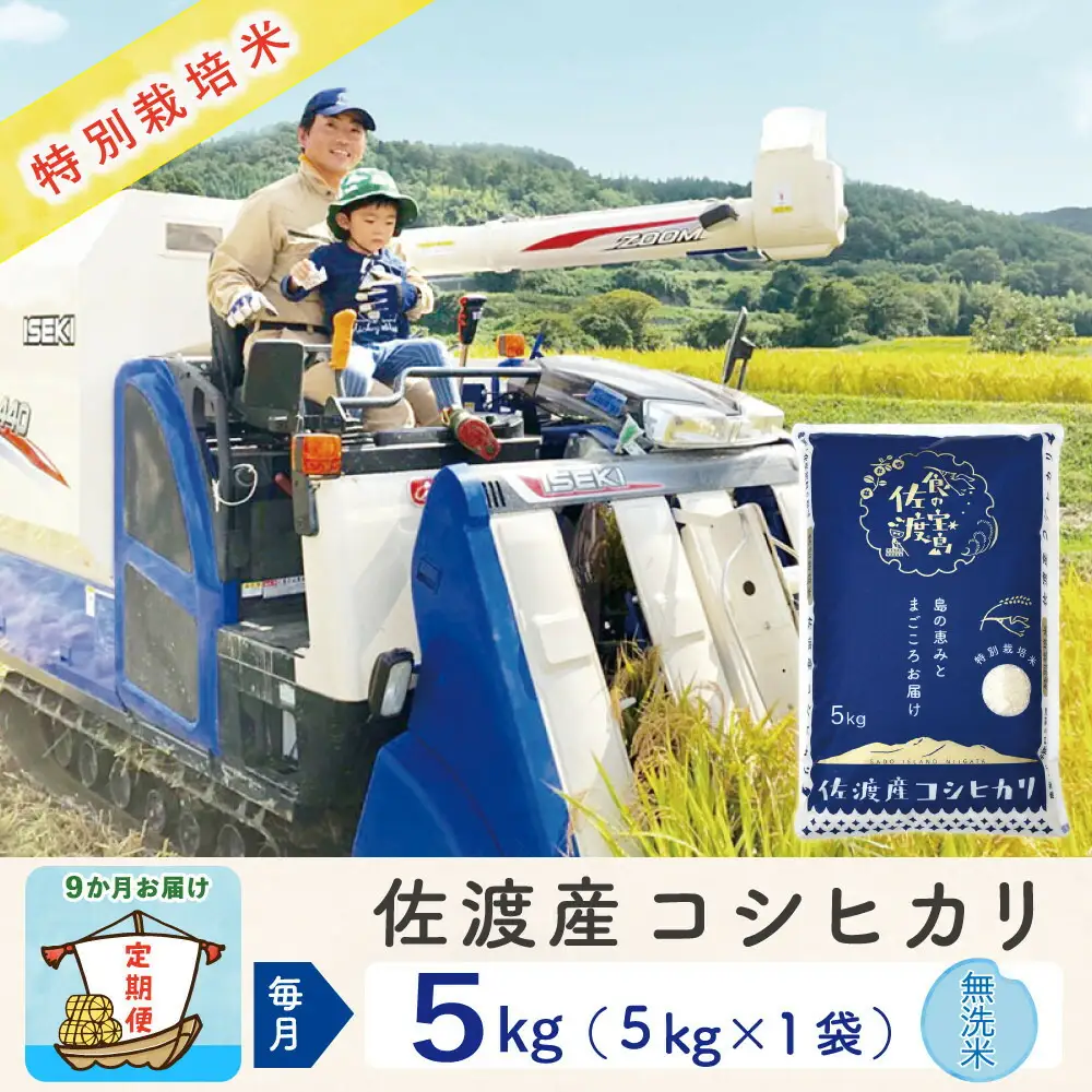 【令和8年産新米 9ヶ月】佐渡島産コシヒカリ 無洗米 5kg 特別栽培米