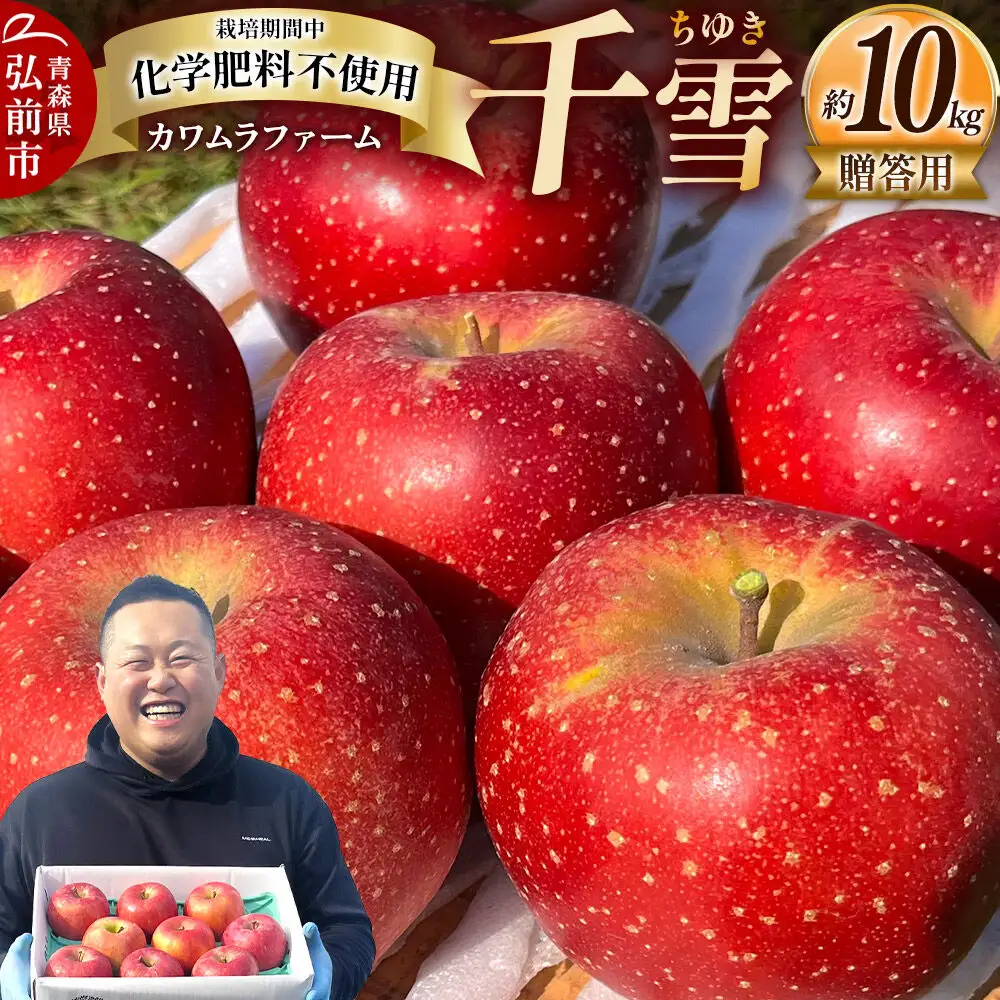 【26年10月下旬～発送】りんご 千雪 約10kg カワムラファーム【贈答用】青森 果物 フルーツ 林檎 リンゴ くだもの