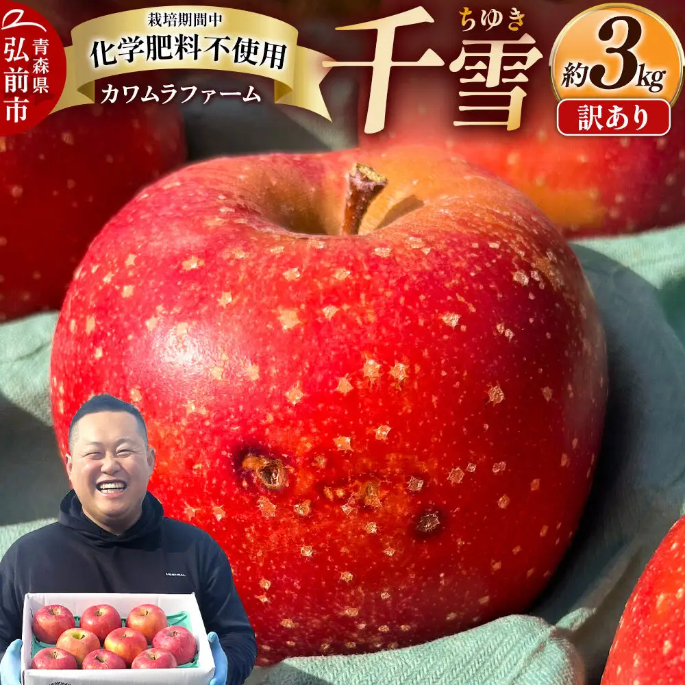 【26年10月下旬～発送】りんご 千雪 約3kg カワムラファーム【訳あり】青森 果物 フルーツ 林檎 リンゴ くだもの