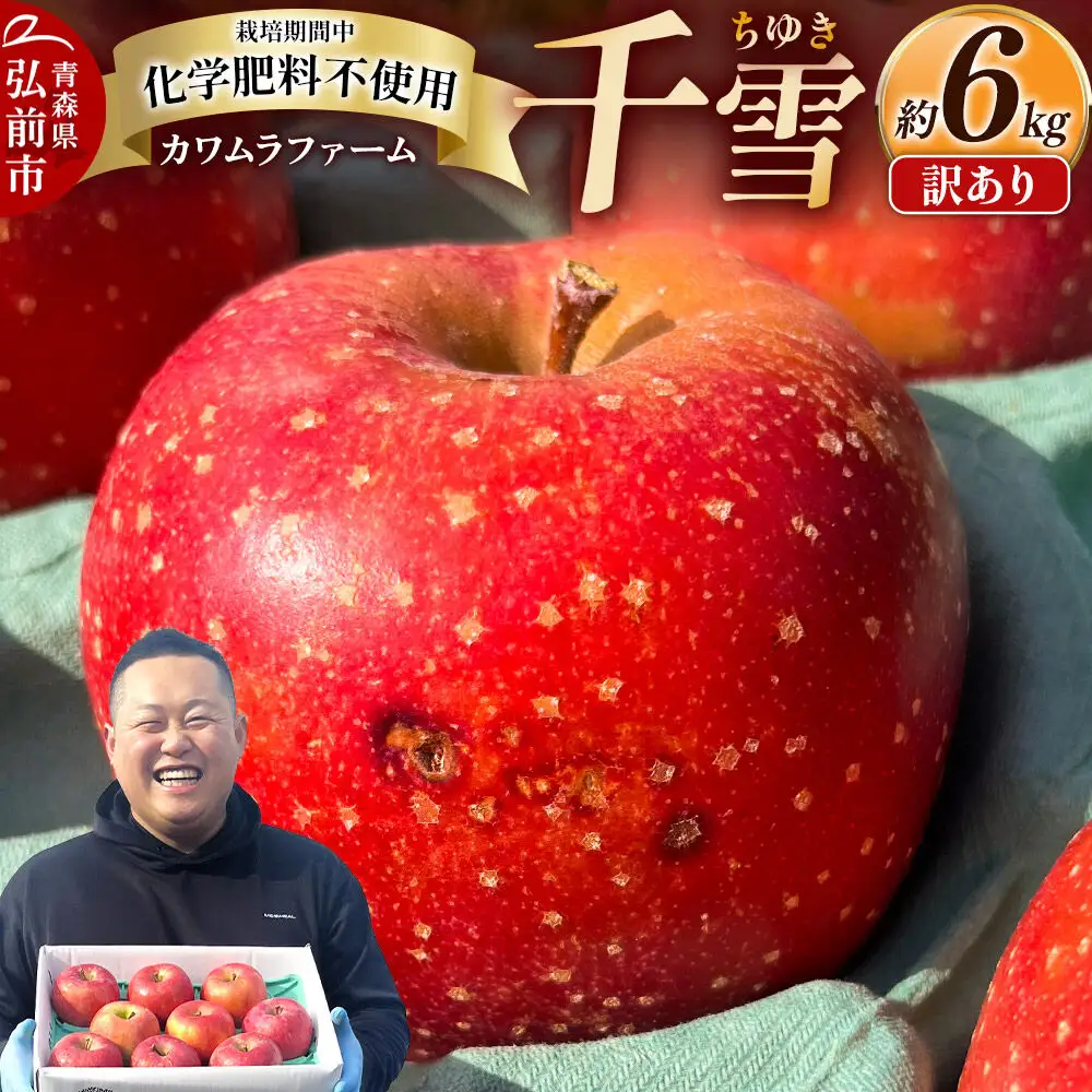 【26年10月下旬～発送】りんご 千雪 約6kg カワムラファーム【訳あり】青森 果物 フルーツ 林檎 リンゴ くだもの