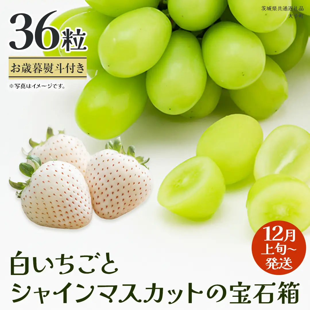 【 お歳暮 熨斗付き 】 白いちご と シャインマスカット の宝石箱 36粒 (茨城県共通返礼品：大子町)