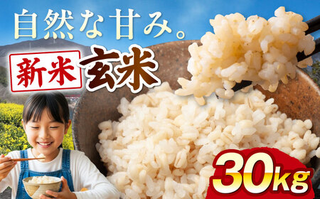 米【令和8年産】【新米】玄米 30kg 米[AGEI001]
