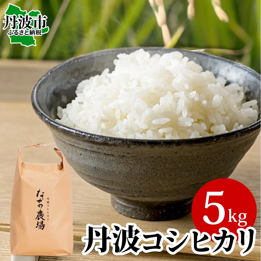 丹波産コシヒカリ 白米 5kg 〈発送直前精米〉〈丹波市〉 お米 白米
