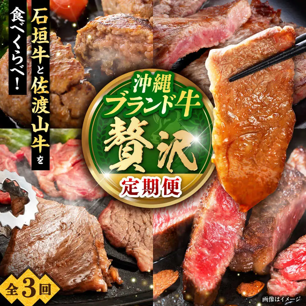 【全3回定期便】沖縄ブランド牛を堪能！贅沢お肉定期便【沖縄市】牛肉 和牛 サーロインステーキ 焼肉 赤身 沖縄市 / 肉のサブロー / お肉屋本店[BCZZ027]