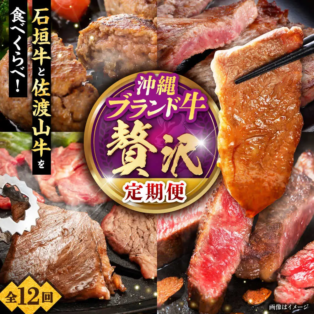 【全12回定期便】沖縄ブランド牛を堪能！贅沢お肉定期便【沖縄市】牛肉 和牛 サーロインステーキ 焼肉 赤身 沖縄市 / 肉のサブロー / お肉屋本店[BCZZ029]