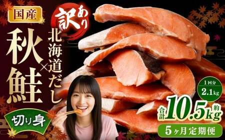 【5ヶ月定期便】 ［訳あり］ 国産秋鮭 北海道だし切り身 約2.1kg×5回 計約10.5kg ／ 鮭 しゃけ シャケ 秋鮭 天然秋鮭 切身 切り身 鮭節 かじか 昆布 しいたけ ブレンド 出汁 だし 出汁入り鮭 冷凍