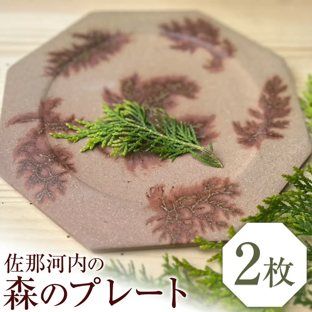 佐那河内の森のプレート 2枚 食器