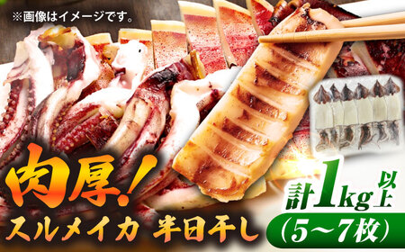 スルメイカ　半日干し 1kg以上 5〜7枚《壱岐市》【馬渡水産】[JAQ029]