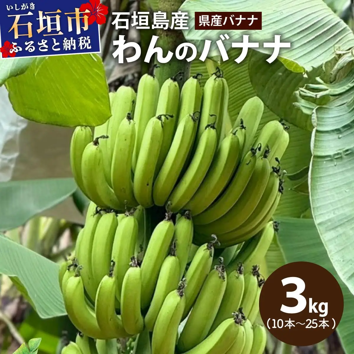＜わんのバナナ＞石垣島産バナナ【沖縄県産バナナ】約3kg NA-06