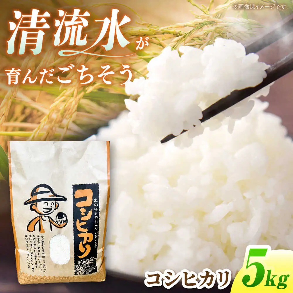 ＜令和7年産＞ コシヒカリ 5kg 白川町 / 健康農園[AWBW001]