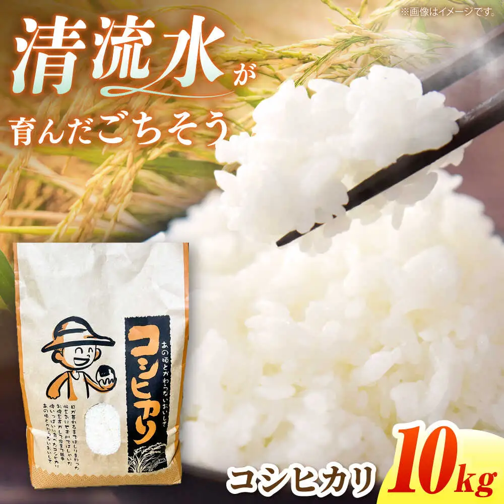 ＜令和7年産＞ コシヒカリ 10kg 白川町 / 健康農園[AWBW002]