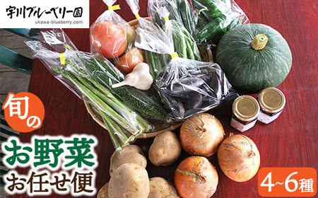 [2026年先行予約］宇川ブルーベリー園の旬のお野菜おまかせ便 4～6種 80サイズ箱でお届け　※2026年10月～発送