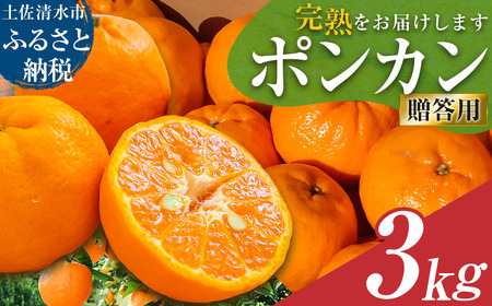 R8.1月発送 オレンジ園のぽんかん３kg  【R01498】