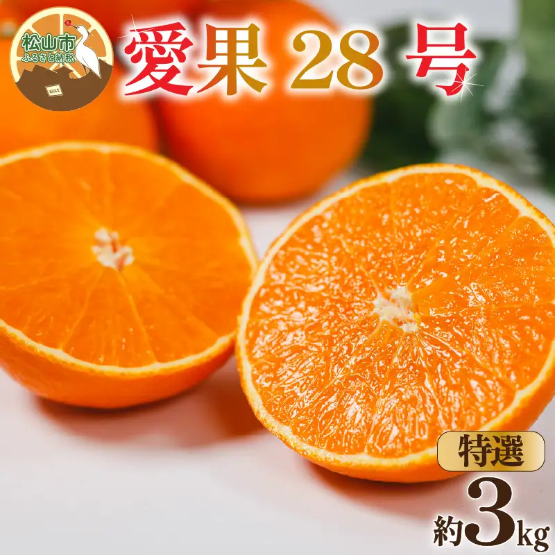 【紅まどんなと同品種】【特選】愛果28号 約3kg まどんな 【2026年12月中旬頃から順次発送】【KNN002】