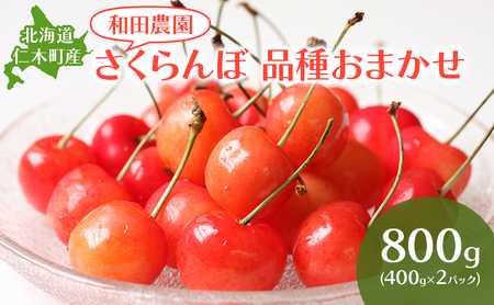 さくらんぼ 品種おまかせ 800g サクランボ