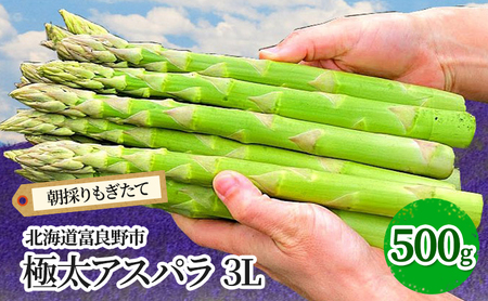 グリーンアスパラ 極太 3Lサイズ 富良野産 グリーンアスパラ【500g】【先行予約】