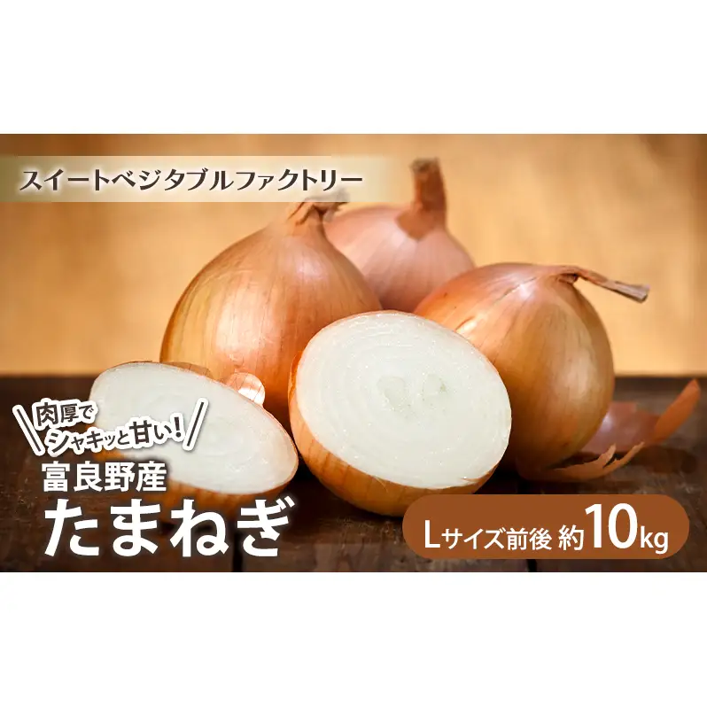 【2026年秋冬発送】北海道富良野産 たまねぎ 約10kg (Lサイズ前後) 野菜 玉ねぎ
