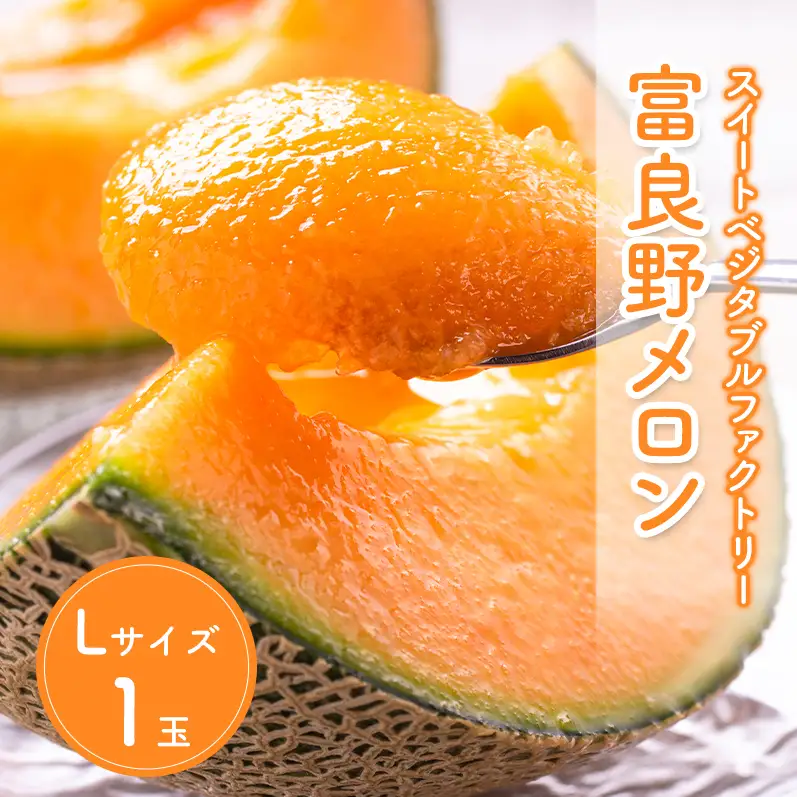 【数量限定！】北海道 富良野 メロン Lサイズ 1.3kg以上×1玉 フルーツ 果物