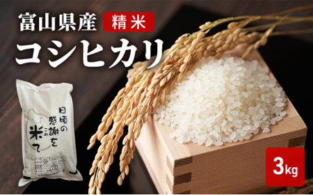 米 日頃の感謝を米て 3kg コシヒカリ 精米 白米 お米 こめ コメ 富山県 高岡市 FAD-1416