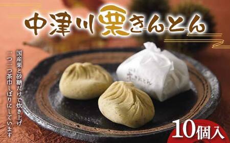 〈御菓子司 恵那福堂〉中津川栗きんとん10個入 F4N-2436
