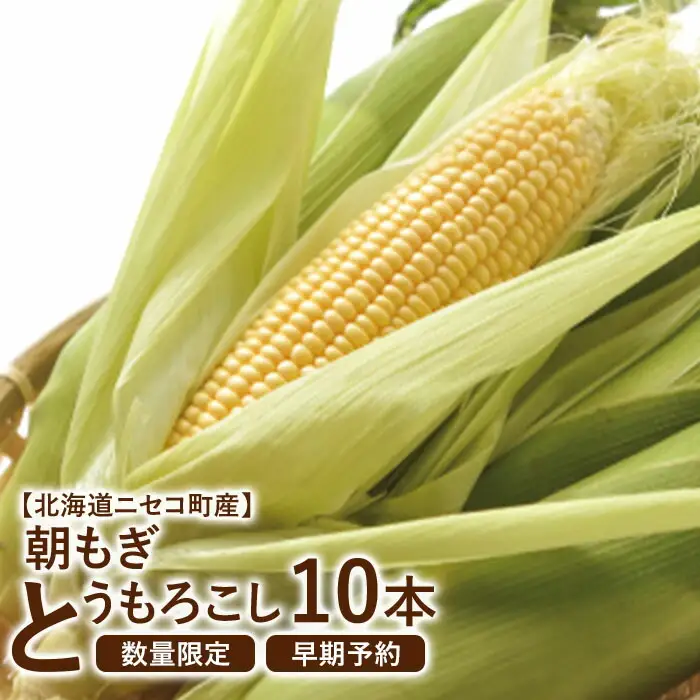 【北海道ニセコ町産】朝もぎ とうもろこし 10本 ＜数量限定・2026年早期予約・7月中旬より出荷予定＞【0202303】