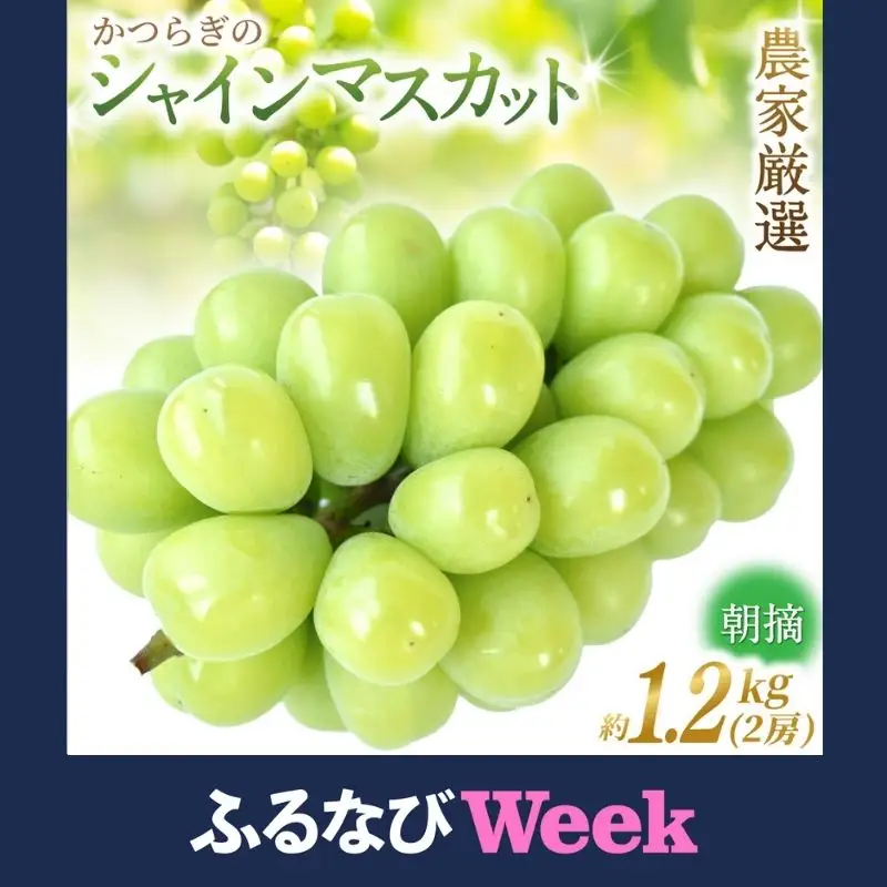 【ふるなびWEEK対象】シャインマスカット 秀品  朝摘み 2房（約1.2kg）こだわり農家厳選！【2026年8月末から9月末順次発送予定】【BK-kgr035-week】