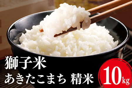 【令和8年産】獅子米 あきたこまち 精米10kg お米 米 精米 おこめ ブランド米 30キロ 国産 コメ こめ ご飯 銘柄米 茨城県産 茨城 産直 産地直送 農家直送 ごはん 家庭用 贈答用 お取り寄せ 茨城県 石岡市 B02-058
