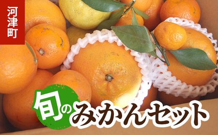 みかん 河津町 旬のみかん セット 果物 フルーツ みかん