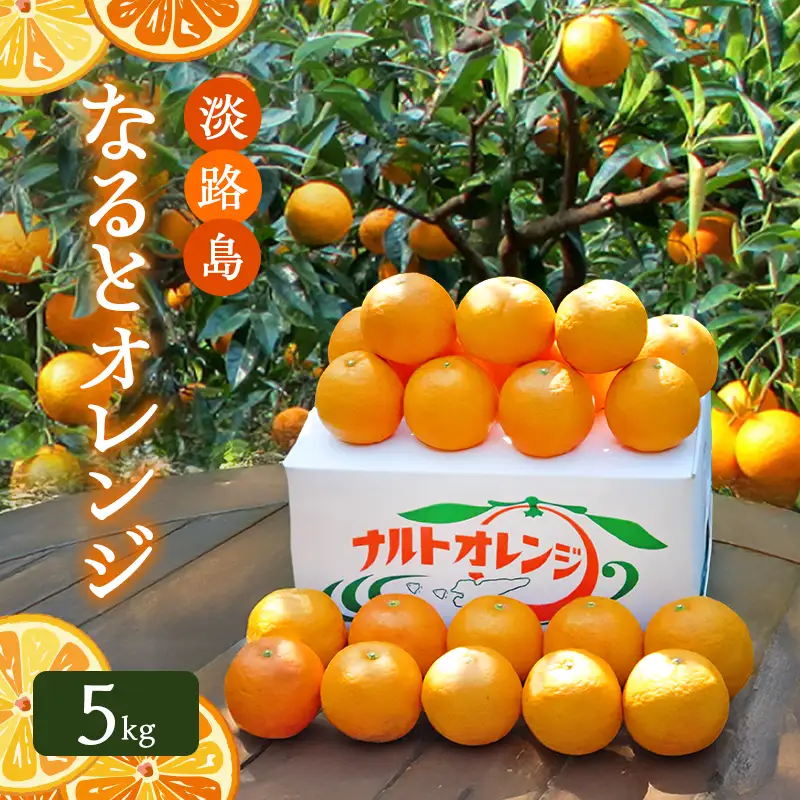 なるとオレンジ 幻の果物 5kg なるとオレンジ 淡路島 洲本市