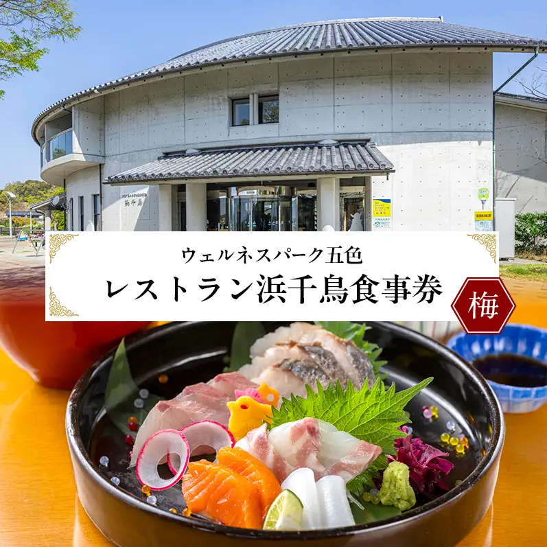 ウェルネスパーク五色 レストラン浜千鳥 食事券 (梅)  3000円分  チケット 淡路牛 玉ねぎ 生しらす 鰆 鯛 海鮮 温浴施設 旅行 淡路島 洲本市