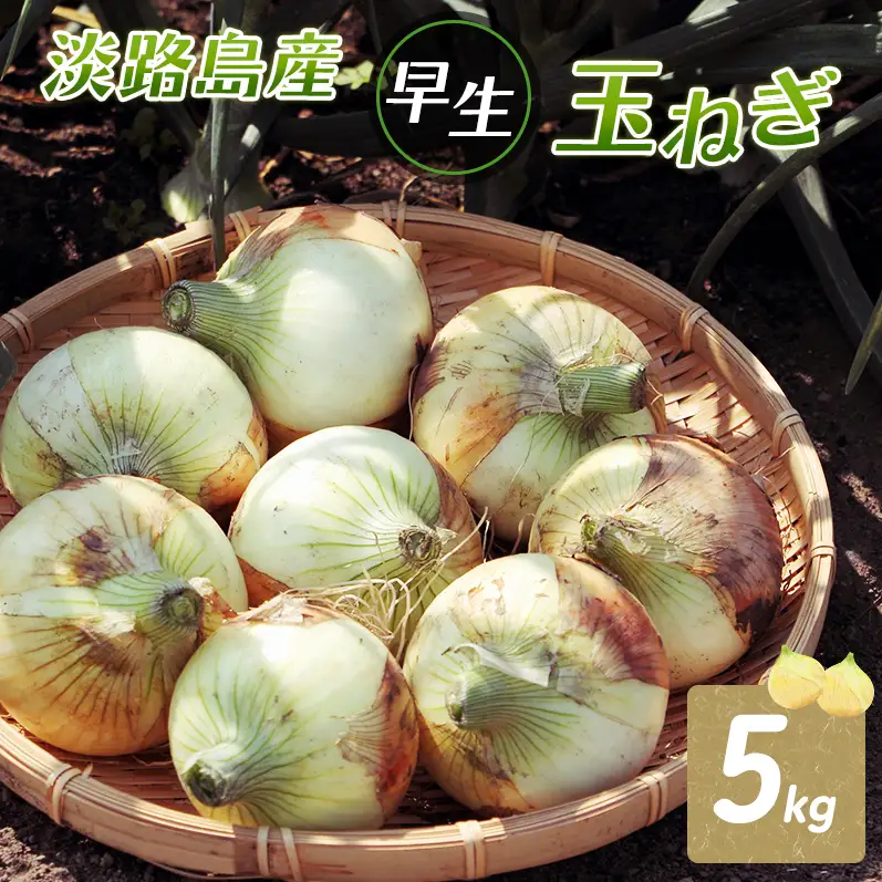 ふれあい市の会 早生 玉ねぎ 5kg タマネギ オニオン 野菜 旬 甘い 淡路島 洲本市