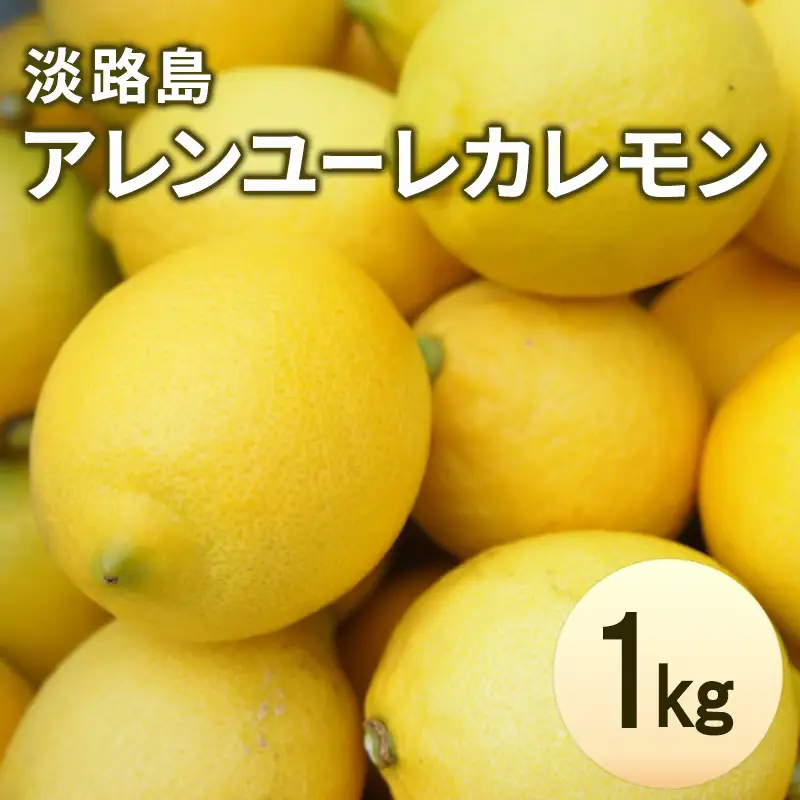 レモン アレンユーレカ 淡路島 1kg 8～12個 レモン