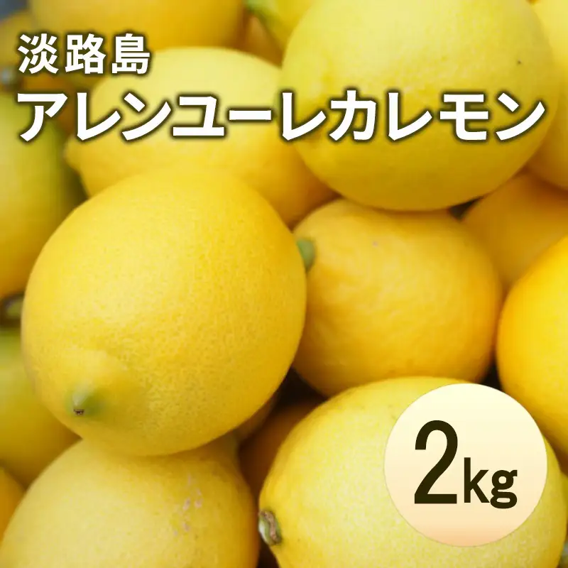 レモン アレンユーレカ 淡路島 2kg 16～22個 レモン