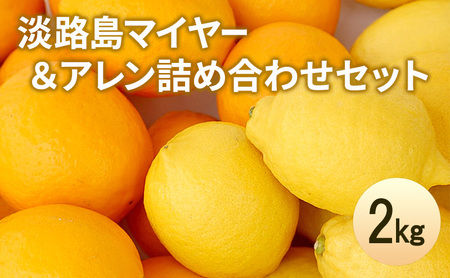 レモン マイヤー アレンユーレカ 2種 2kg レモン