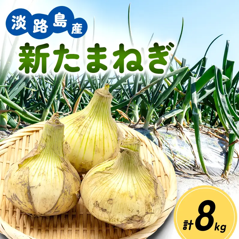 新玉ねぎ 淡路島産 8kg 島の里 甘い 新玉ねぎ