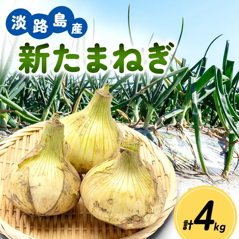 新玉ねぎ 淡路島産 4kg 島の里 甘い 新玉ねぎ