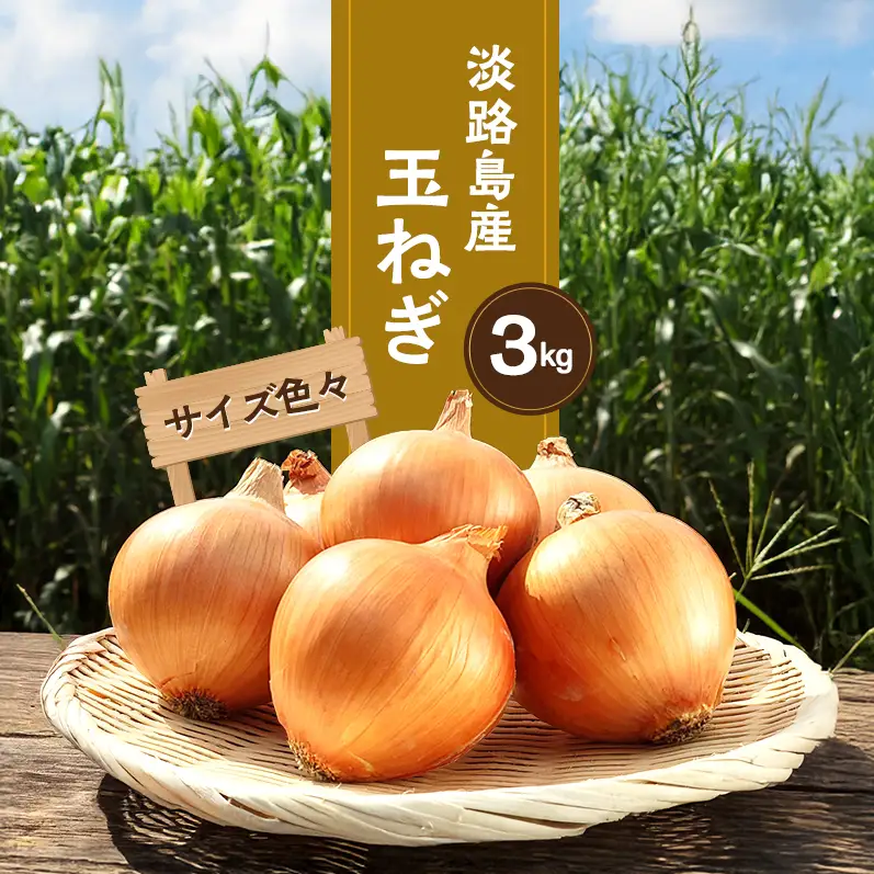 玉ねぎ 淡路島産 サイズ色々 3kg 善太 玉ねぎ
