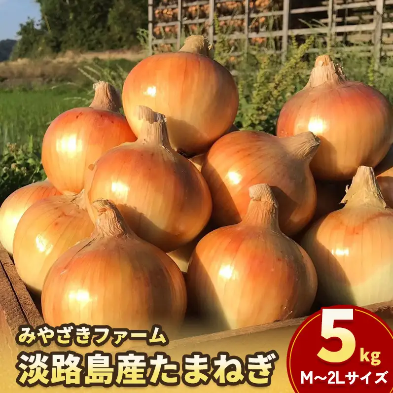 玉ねぎ 淡路島産 5kg みやざきファーム 甘い 玉ねぎ