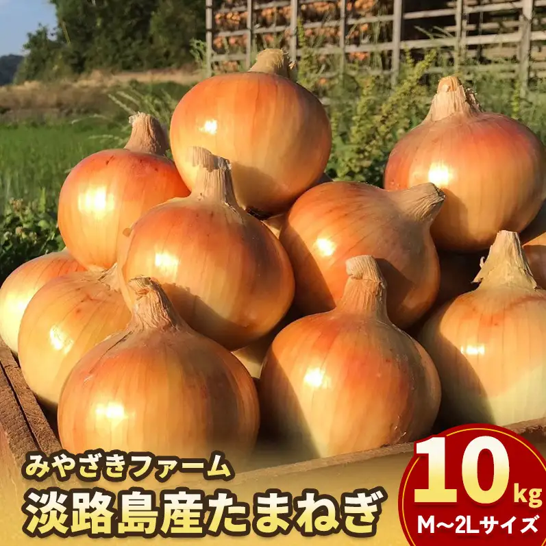 玉ねぎ 淡路島産 10kg みやざきファーム 甘い 玉ねぎ