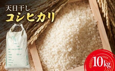 とみた農園 天日干し コシヒカリ 米 10kg とみた農園 淡路島 洲本市