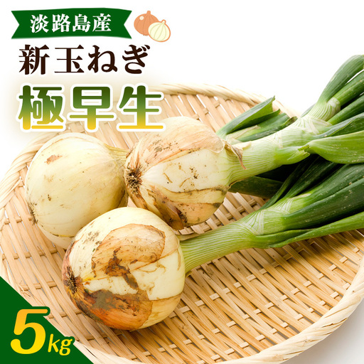 新玉ねぎ 極早生 5kg うしろ農園 甘い 新玉ねぎ