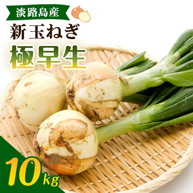 新玉ねぎ 極早生 10kg うしろ農園 甘い 新玉ねぎ