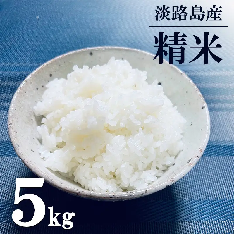 お米 精米 5kg イクヒカリ キヌヒカリ お米